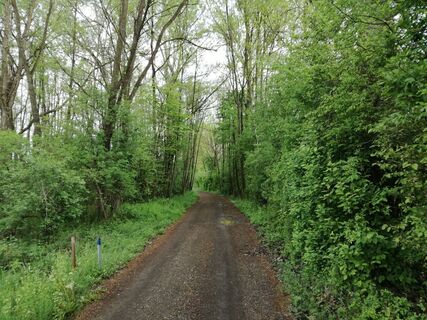 Ein Teil der Tour führt über schattige Wege