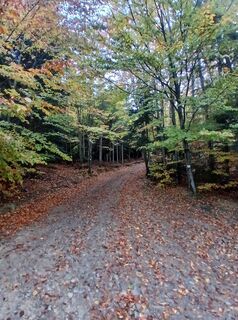 Foto von Daniel Kremiec entlang der Tour