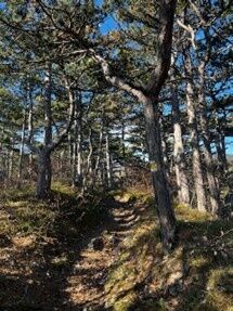 Trails Ansicht "Weißer Weg"