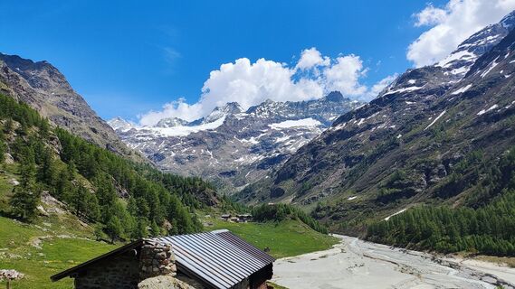 Photo de Monika Wolfshoefer le long du parcours