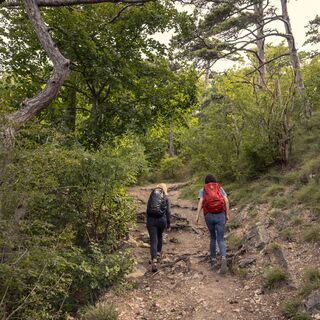 Wandern im Wienerwald
