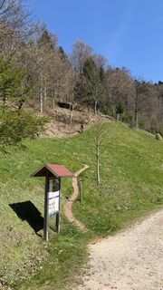 Photo de Markus Hornung 72 le long du parcours