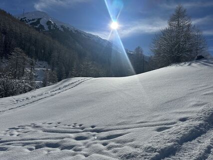 Foto von Petra Zieriacks entlang der Tour