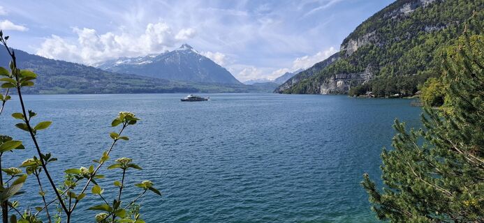 Fotografija s spletne strani tinu55 na poti