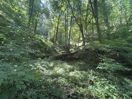 Fotografija s spletne strani Gerald na poti