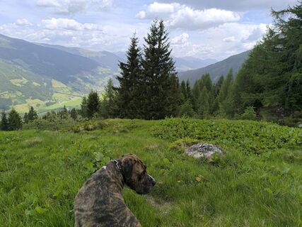 Foto von Tobias Peschanel entlang der Tour