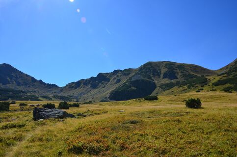 Paradies