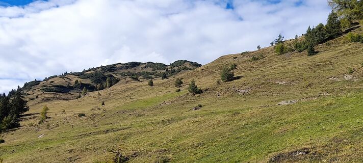 Foto da fuzzy68 lungo il tour