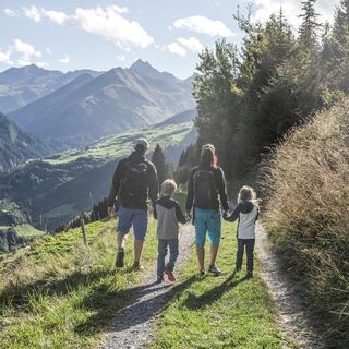Waldlehrpfad