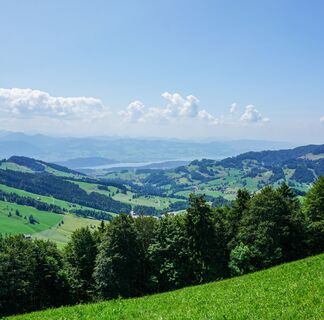 Toggenburger Höhenweg Etappe5 Blick Zürichsee