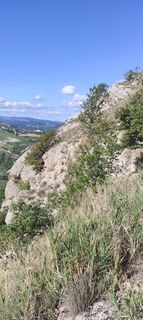 Photo de Brigitte Scheuffele le long du parcours