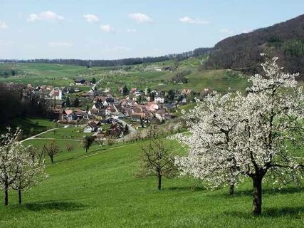 Ankunft in Maisprach während der Kirschenblüte