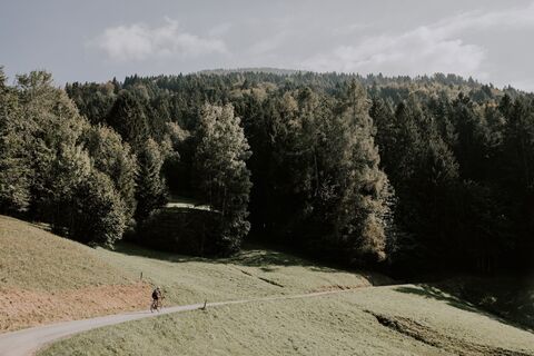 Anstieg Monthey - Les Cerniers