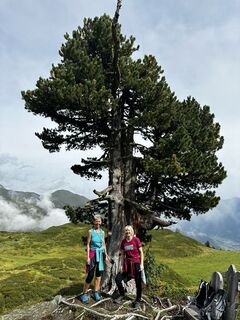 Fotó a Marion Schedel honlapról a túra során