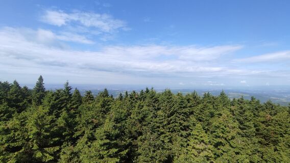 Foto da Krzysztof Woźniak 3 lungo il tour