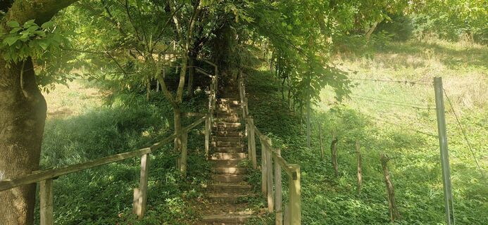 Fotó a Thomas Zeintl honlapról a túra során