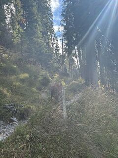 Photo de Kristijan Držaj le long du parcours