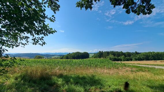 Fotografija s spletne strani Anita Lunzer 1 na poti
