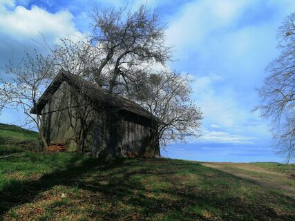 Fotografija s spletne strani Christina Turnwald na poti