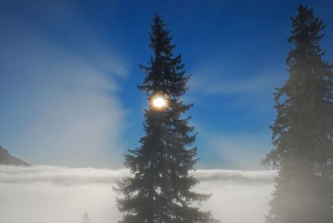 Heualm – Schauerwand – Windberg – Farfel - Knappensteig