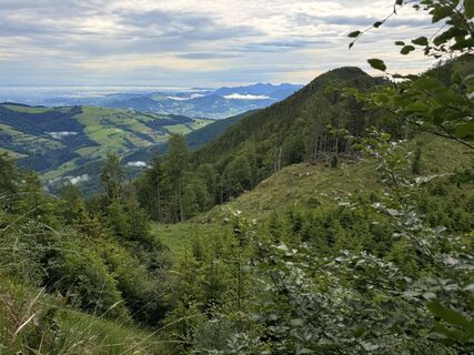 Foto de Natur_erleben_dg a lo largo del recorrido
