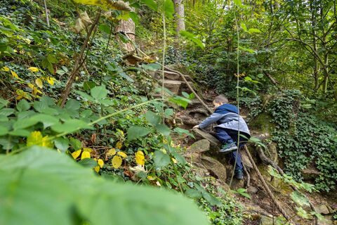 Auf dem Natur-Erlebnispfad in Oberharmersbach wird gekraxelt.