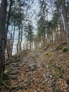 Foto von Florian Dürnegger entlang der Tour