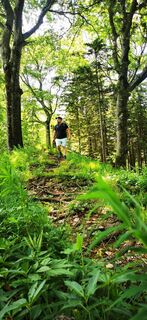 Foto von Klaus Lehner entlang der Tour