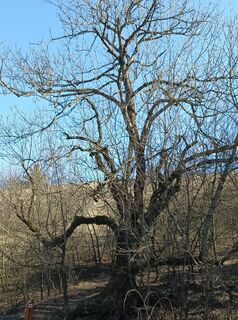 Foto de Julika Jármer a lo largo del recorrido