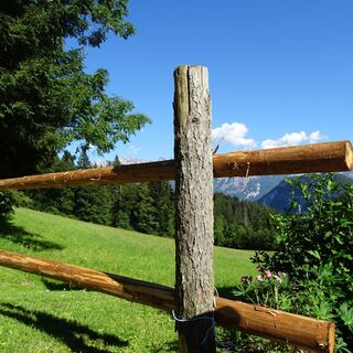 Holzzaun