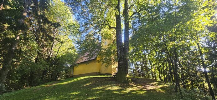 Fotografie z Mateja Rečnik na trase