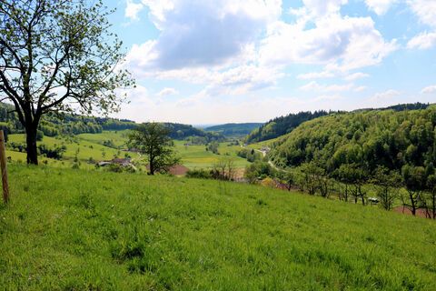 Aussicht in Richtung Freiamt, Ortsteil Keppenbach