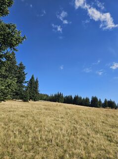 Foto van Ingrid H langs de tour