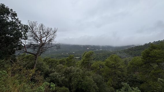 Foto de sagal a lo largo del recorrido