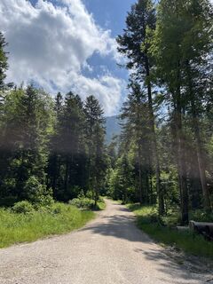 Photo de Heinz Sperl le long du parcours
