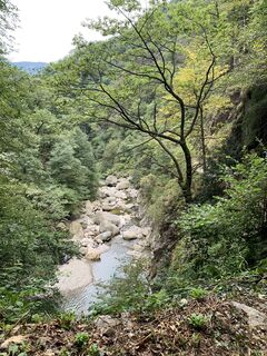 Foto de Koen De Wit a lo largo del recorrido