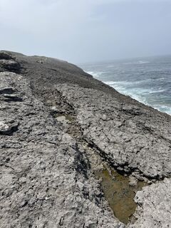 Photo de Florian Brandt le long du parcours