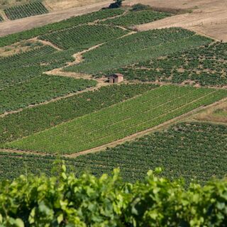 val d'oingt