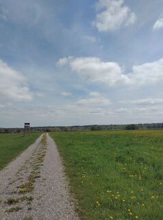 Photo de Karin Mayer-Rosenbohm le long du parcours