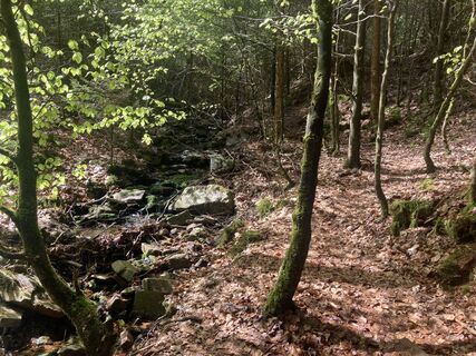 Hemelbach