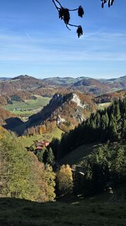 Schoberstein