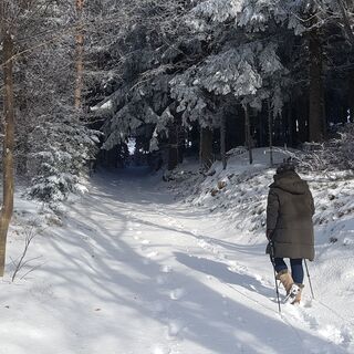 Masenberg Winterwandern in der Oststeiermark