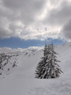 Fotografie z annnaa0801 na trase