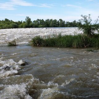 Donau-Auengebiet, Dobrohošť