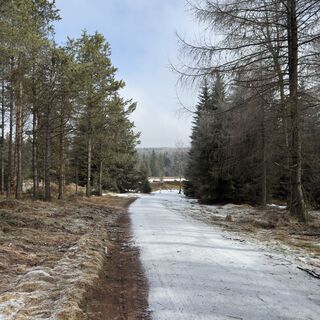 Fotografia z Steffen Kiesel na trase