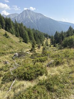 Foto von MiKo entlang der Tour
