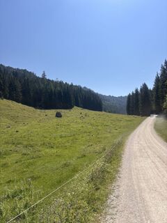 Foto de Luis Adlmaier a lo largo del recorrido