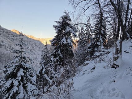 Foto de GerhardAho a lo largo del recorrido