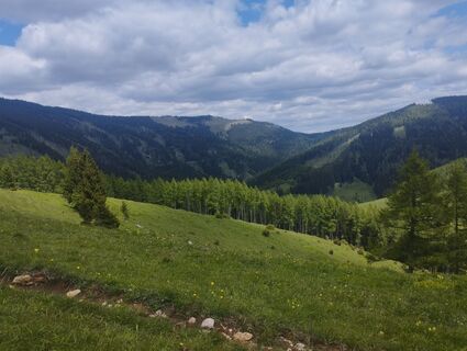 Foto von Mario Krenn 2 entlang der Tour