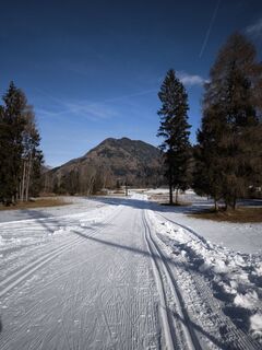 Fotografia z Mirko Stefani na trase
